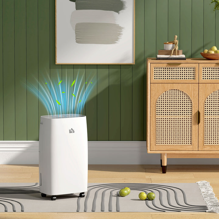 12L/Day Dehumidifier with Continuous Drainage, 2.5L Water Tank, 24H Timer, Humidity Display, for Home Damp, Condensation, Mould and Laundry Drying, White