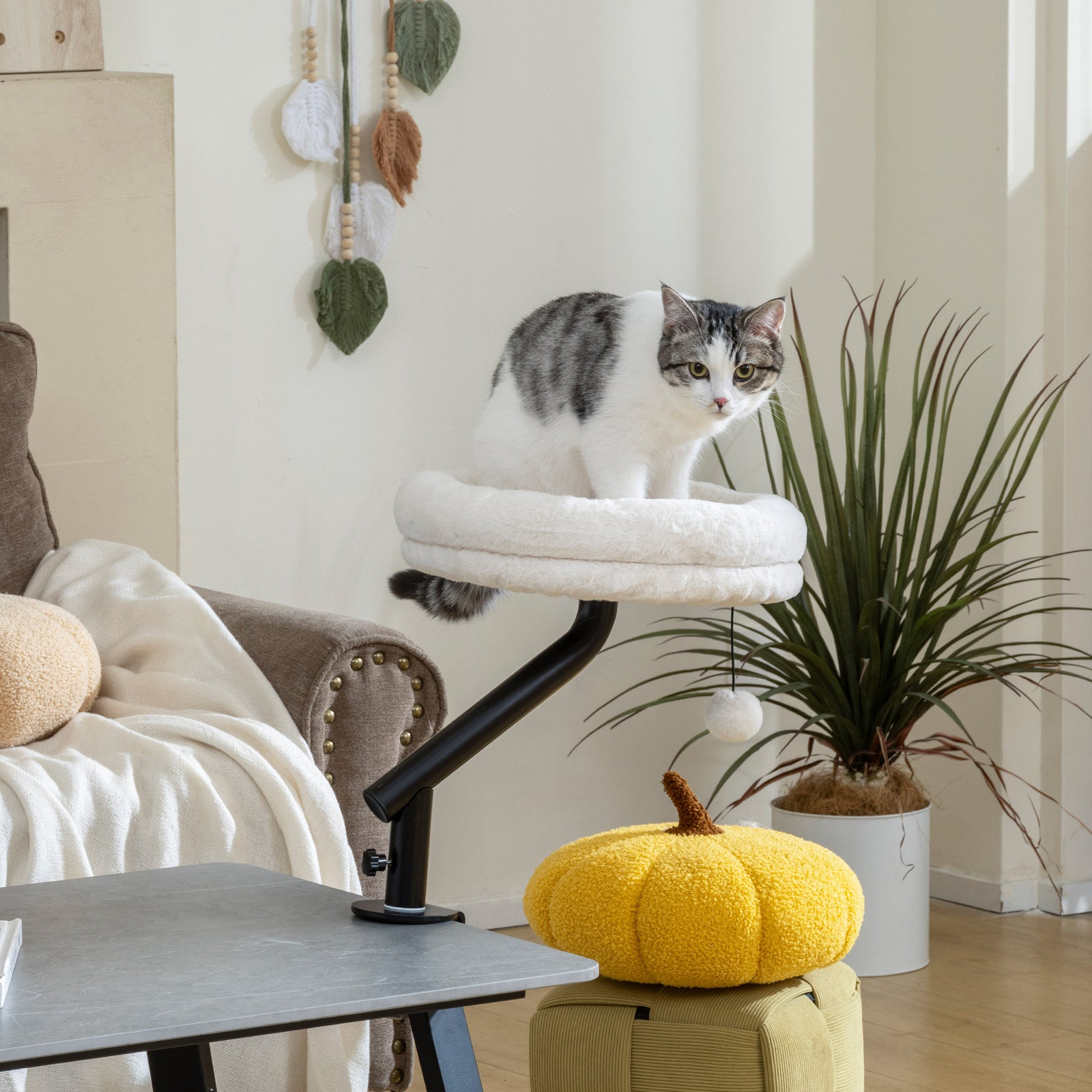 Cat Desk Bed, Cat Hammock 360° Rotatable Adjustable for Window, Table,
