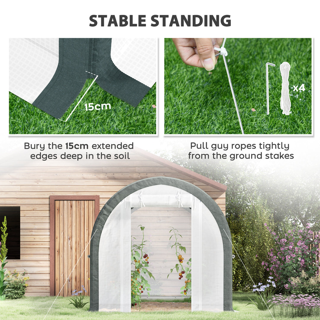 3 x 2(m) Walk-In Tunnel Greenhouse, with Accessories - White