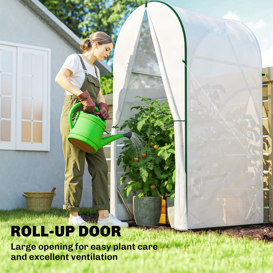 Mini Greenhouse, Portable Green House with Roll-Up Door, PE Base, Small Greenhouse, 100 x 100 x 195 cm