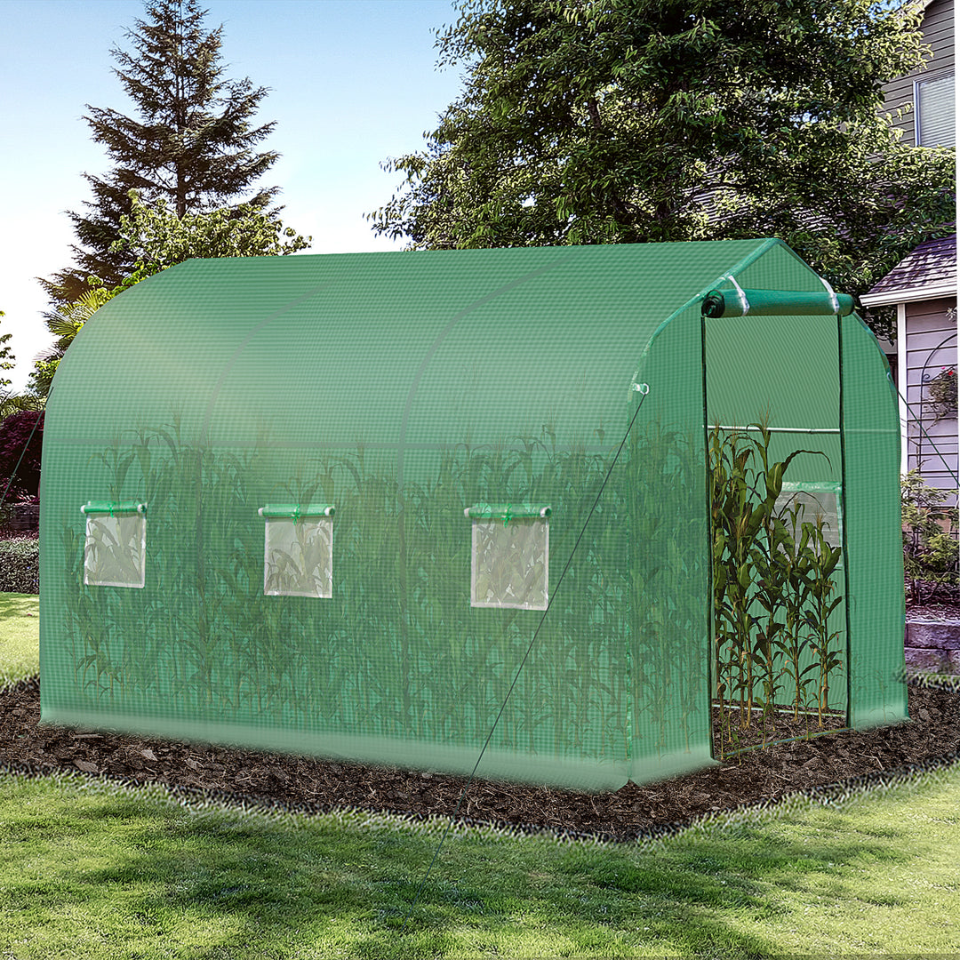 MCL Polytunnel Greenhouse with Windows and Door, Walk in Greenhouse for Garden, Backyard (3 x 2 M)