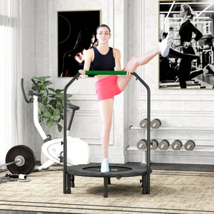Trampoline & Accessories