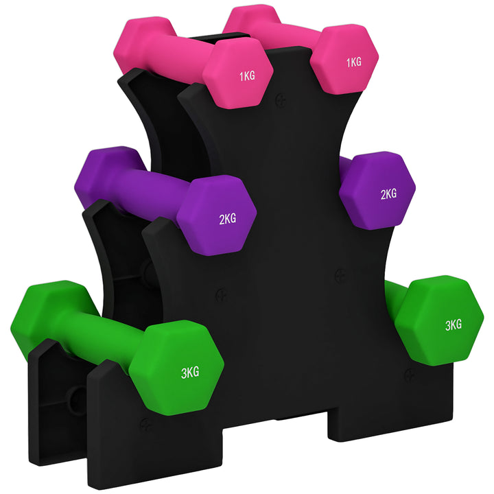 SPORTNOW 2 x 1kg, 2 x 2kg, 2 x 3kg Dumbbells Set with Dumbbell Rack, Hand Weights for Home Gym Training | Aosom UK