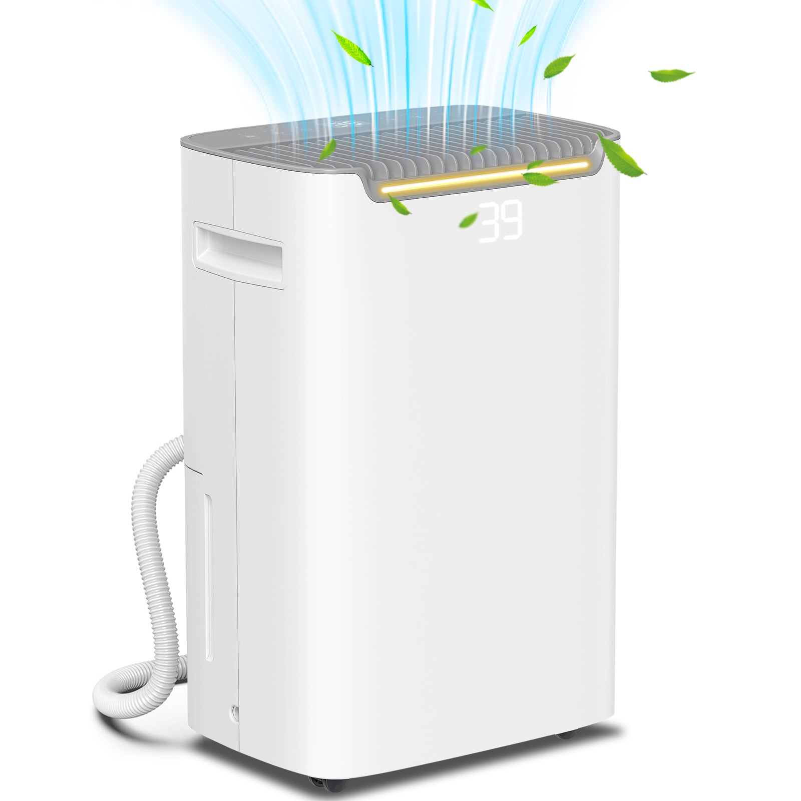 20L/Day Dehumidifier with Continuous Drainage, 2.5L Water Tank, 24H Timer On/off, Digital Humidity Display, Air Filter, Dehumidifier for Home Damp, Bedroom, Condensation, Mould, Laundry Drying