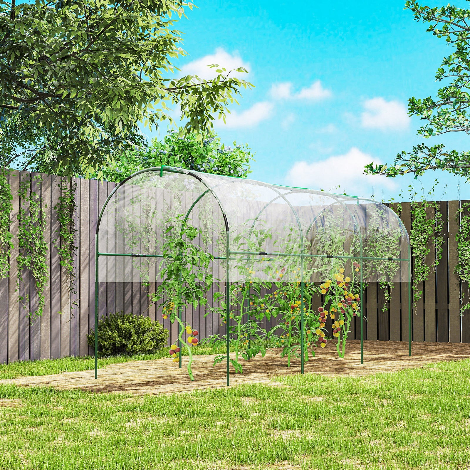 Tunnel Tomato Greenhouse with 4 Hoops and Top Tap, Pointed Bottom and Guy Ropes, 400 x 123 x 171 cm, Clear