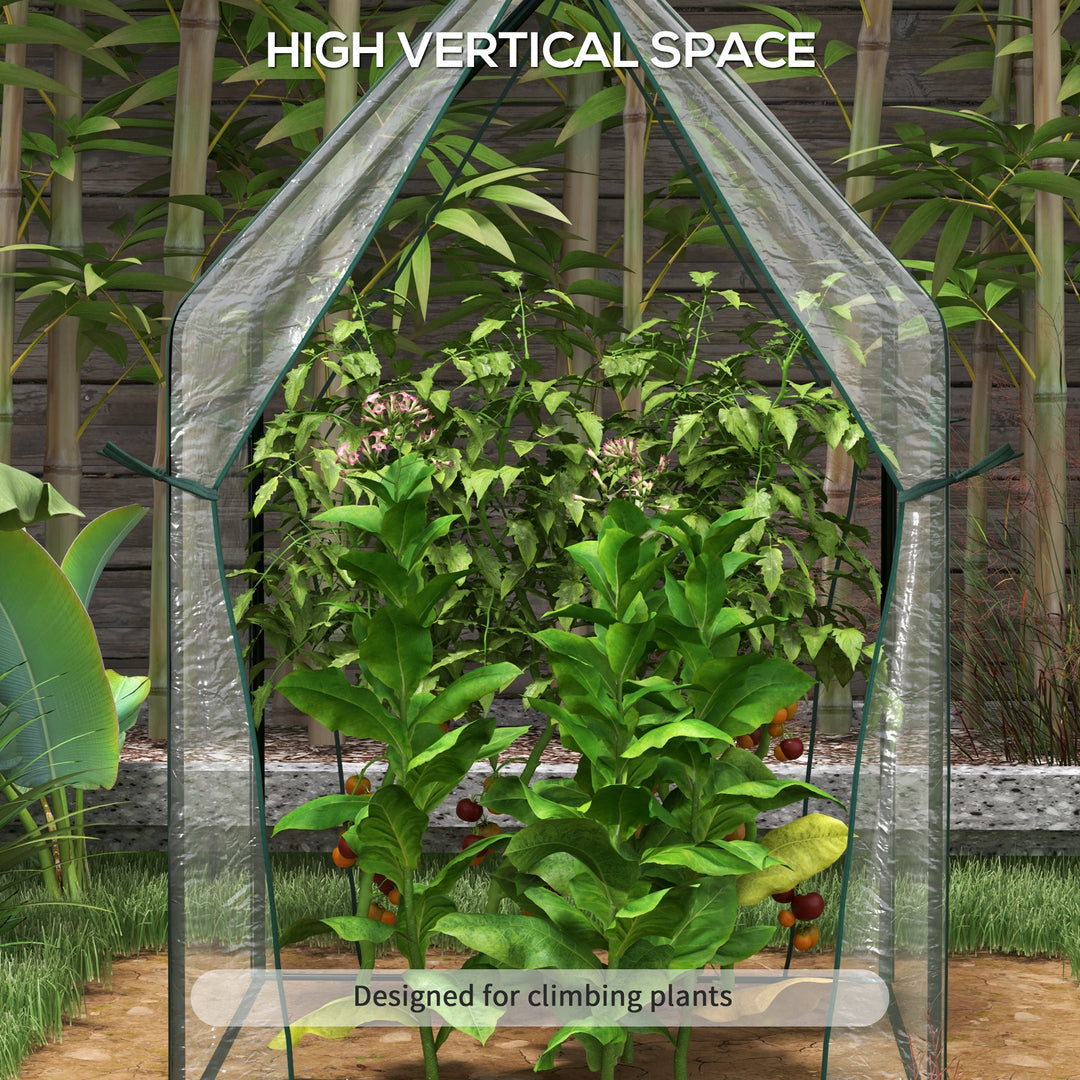 Mini Greenhouse, Garden Tomato Growhouse with 2 Zipped Doors, Portable Indoor Outdoor Green House, 90 x 90 x 145cm, Clear