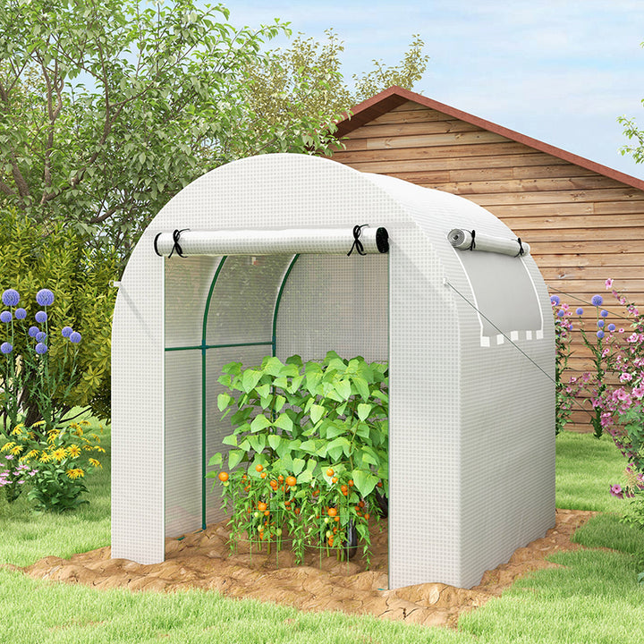 Outsunny Walk in Polytunnel Greenhouse, Green House for Garden with Roll-up Window and Door, 1.8 x 1.8 x 2 m, White | Aosom UK