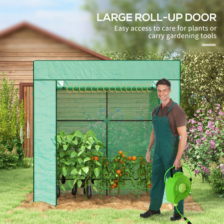 77 x 196cm Walk-In Greenhouse, with Accessories