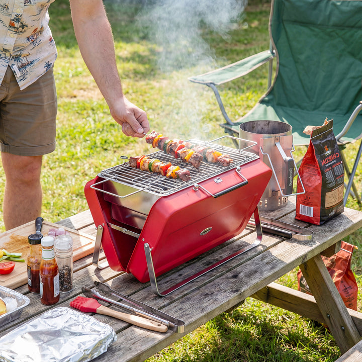 Portable Mini Charcoal Barbecue Grill with Suitcase Shell, Outdoor Fol