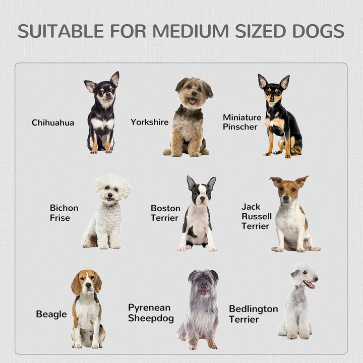 2-in-1 Dog Cage and Side Table, with Two Lockable Doors, for Medium Dogs - White