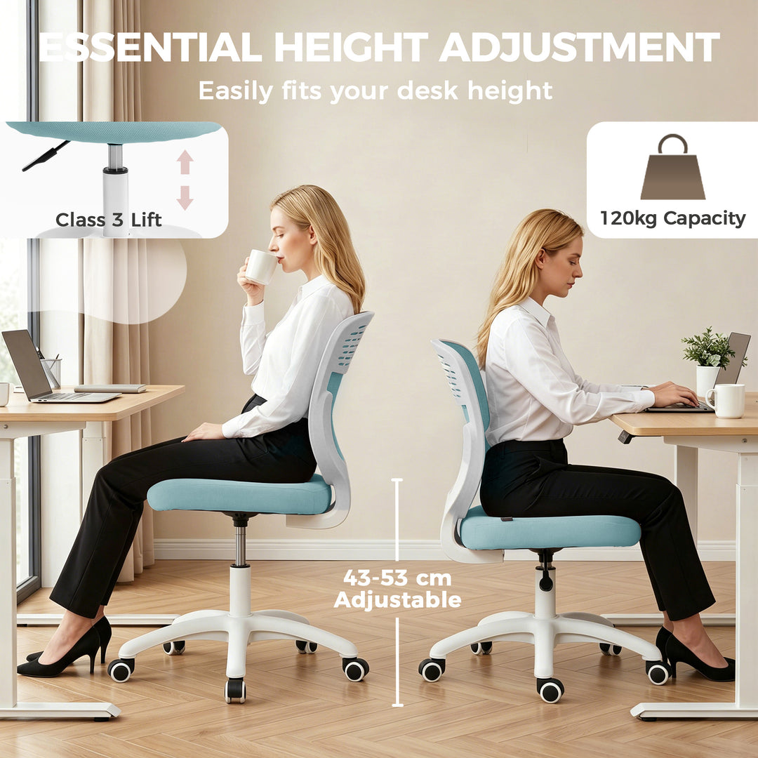 Office Chair, Armless Computer Desk Chair with Breathable Mesh, Adjust