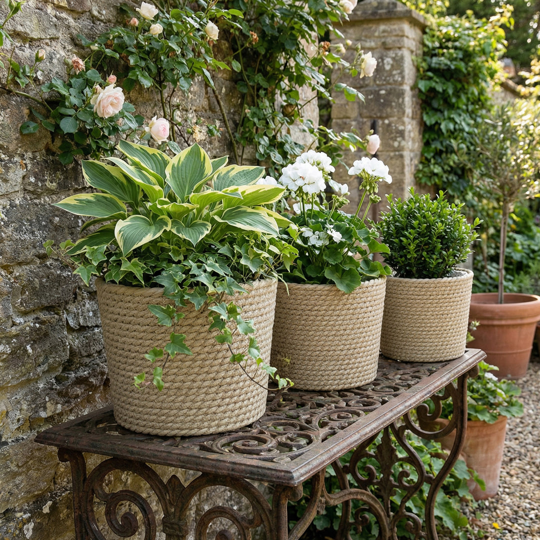 Seagrass Planters Set of 3 Plant Pots for Indoor Outdoor Patio Balcony