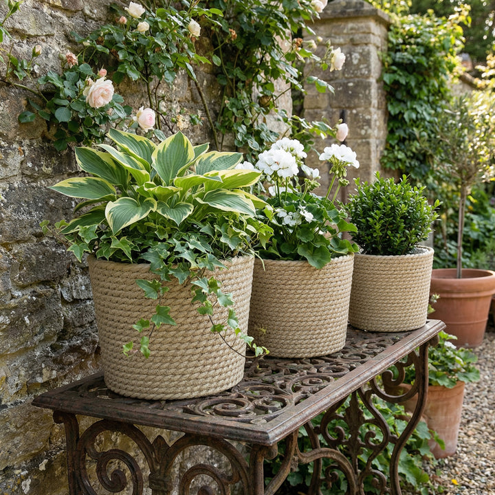 Seagrass Planters Set of 3 Plant Pots for Indoor Outdoor Patio Balcony