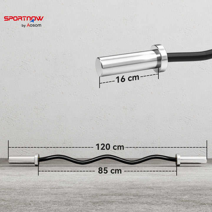 4ft Olympic EZ Curl Bar, Barbell Bar for 2" Weight Plates with Non-Slip Hand Grip 120cm