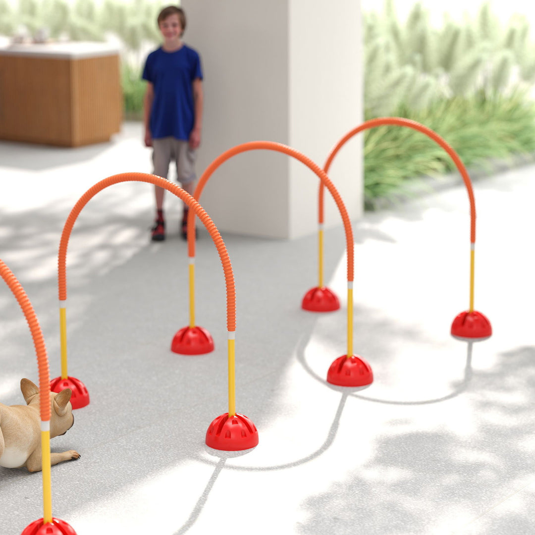 4-Piece Dog Agility Training Equipment with 4 Adjustable Width Doors, Bag, for Garden, Orange