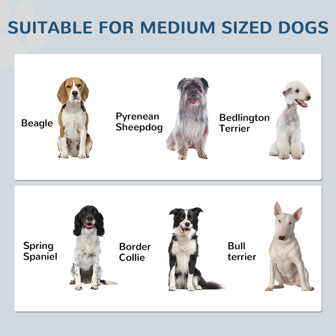 Pet Feeding Station with Raised Dog Bowls, Adjustable Panel, Hooks, White