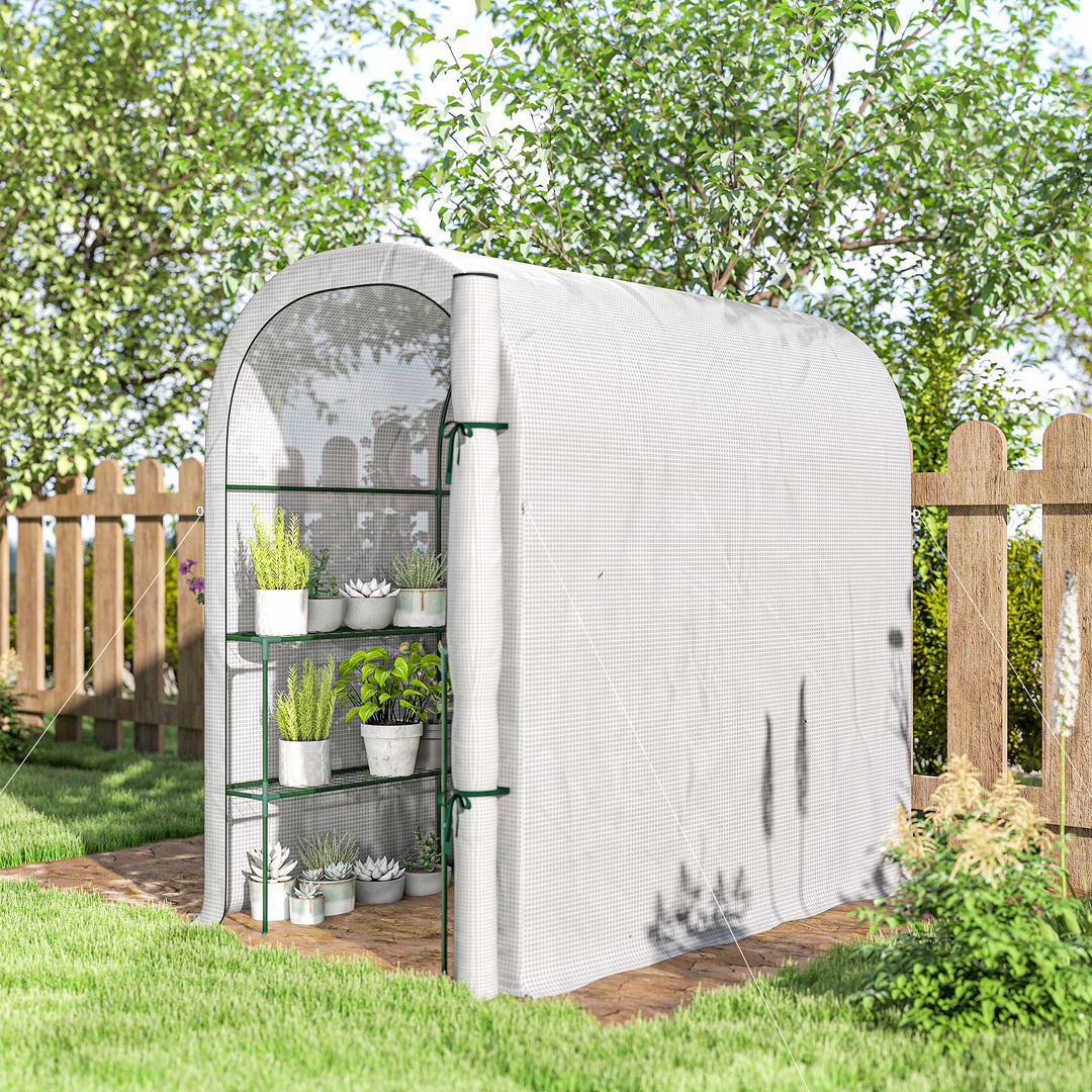 Walk-in Greenhouse with Shelves, Small Greenhouse with PE Cover and Roll-up Door, 123 x 187 x 189 cm