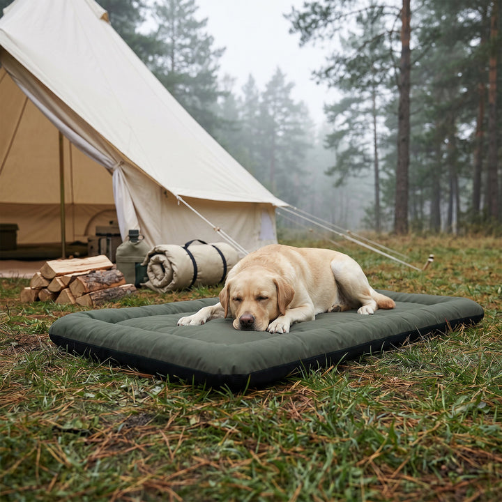 Waterproof Dog Bed, Foldable Pet Bed with Anti-Slip Bottom, Machine Wa