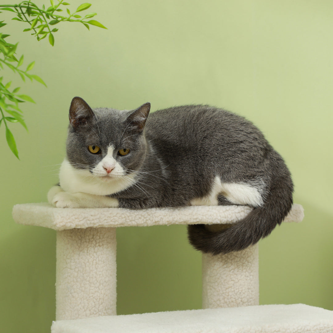 Dog Steps for Bed 4 Step Pet Stairs for Sofa Dog Cat Climb Ladder 63x43x60 cm Cream
