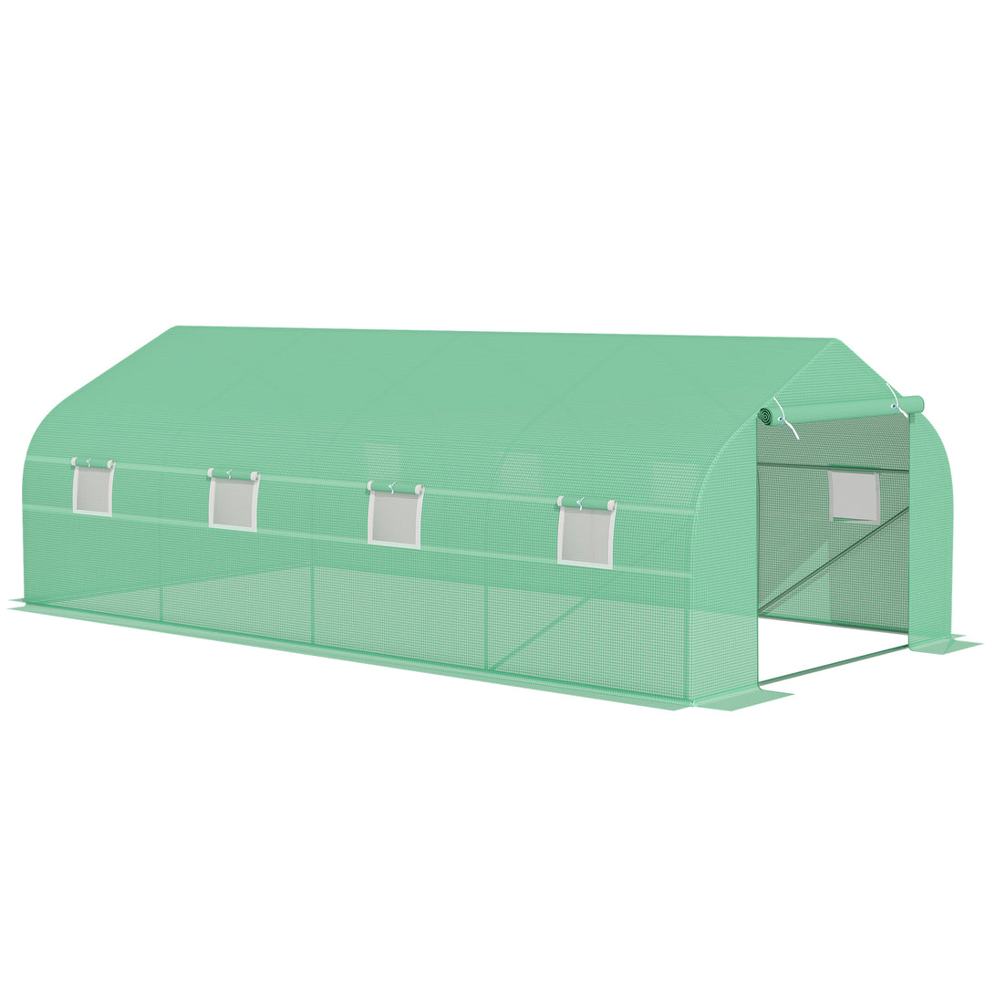 MCL Polytunnel Greenhouse with Windows and Door, Walk in Greenhouse for Garden, Backyard (6 x 3 M)