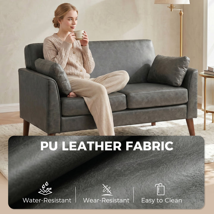 2 Seater Sofa, 132 cm Modern Small Sofa with Solid Wood Legs and 2 Pil