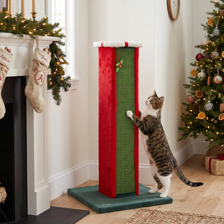 Cat Scratching Post for Indoor Cats, 81cm Tall Cat Scratcher with Sisa