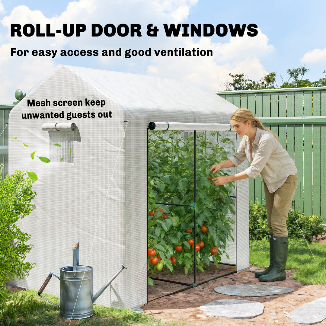 Walk-in Greenhouse, Outdoor Tomato Greenhouse with Roll-up Door and Me
