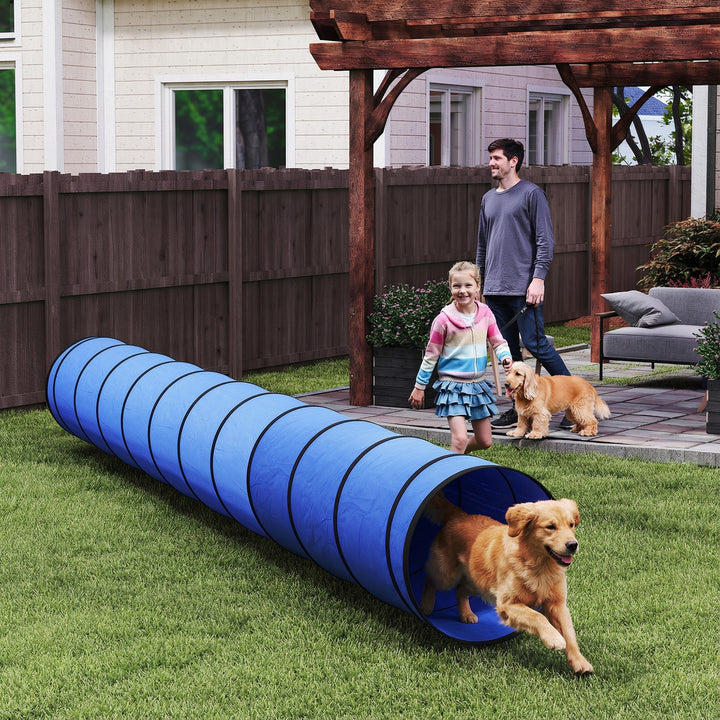 Dog Tunnel, 500 x 60 cm, Foldable Play Tunnel with 6 Pegs and Bag, Tea