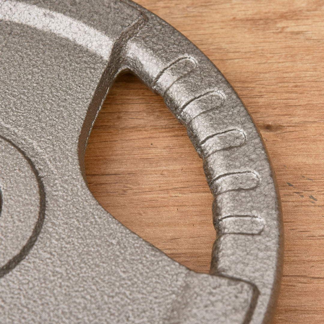 MCL Set of 2 Cast Iron Weight Plates for 2"/5cm Hole Dumbbell Handle Bar, Barbell Weight 2 x 10kg