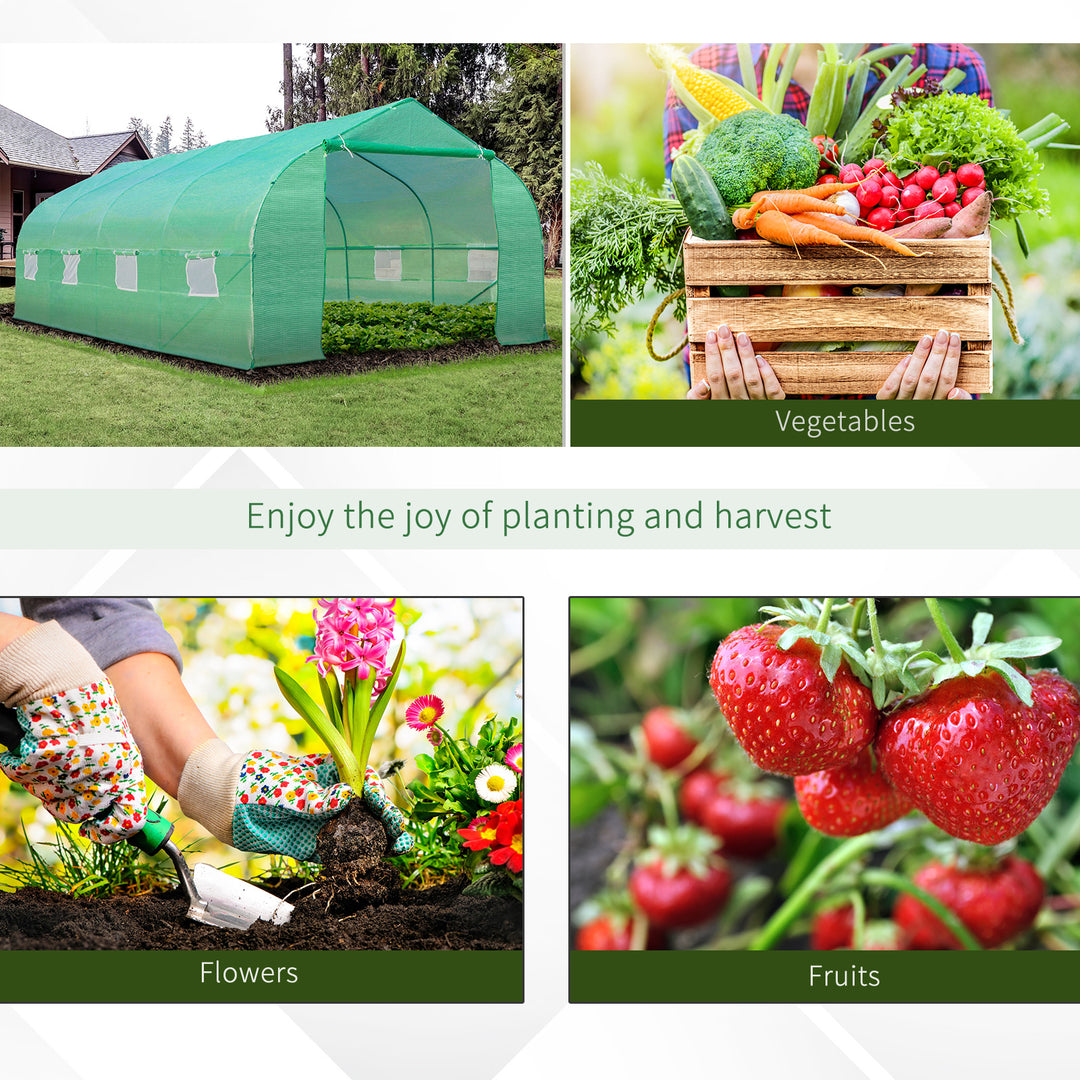Polytunnel Greenhouse with Windows and Door, Walk in Greenhouse for Garden, Backyard (6 x 3 M)