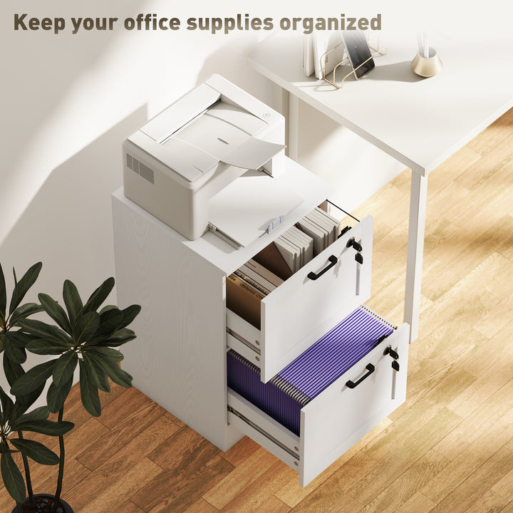 2-Drawer Filing Cabinet with Lock - White