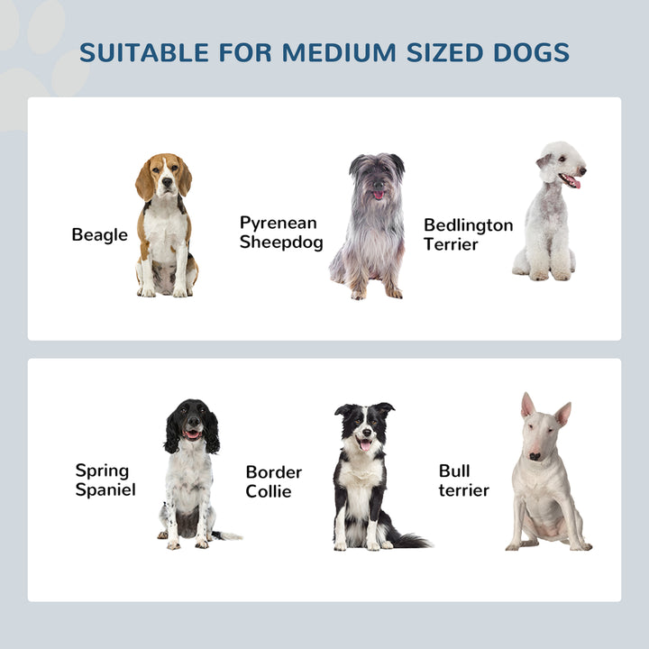 Raised Dog Feeding Bowls with Stand, Stainless Steel for Medium Dog, 58L x 31W x 25H cm - Grey