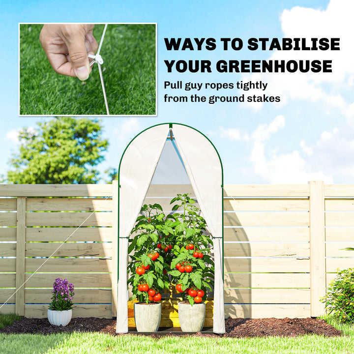 Mini Greenhouse, Portable Green House with Roll-Up Door, PE Base, Small Greenhouse, 100 x 100 x 195 cm