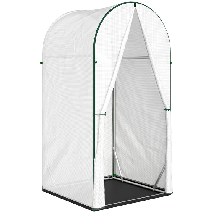 Mini Greenhouse, Portable Green House with Roll-Up Door, PE Base, Small Greenhouse, 100 x 100 x 195 cm