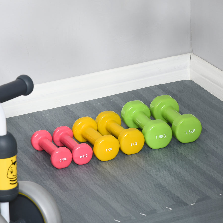 6Kg Dumbbell Set, Fitness Weight Set for Men and Women, Home Gym Workout