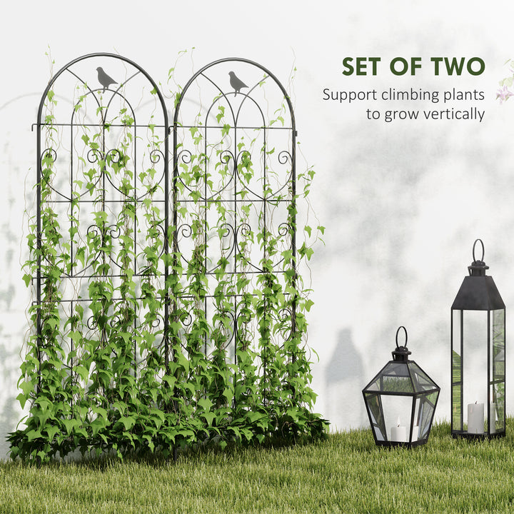 Set of 2 Garden Trellis, Metal Fence Panels for Climbing Outdoor Plants, Flowers, 150 x 50cm