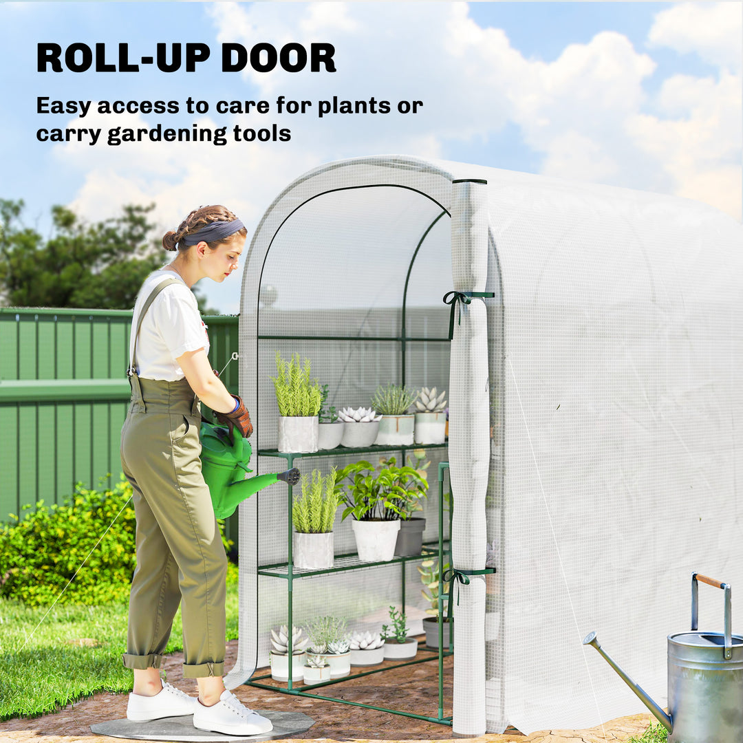 Walk-in Greenhouse with Shelves, Small Greenhouse with PE Cover and Roll-up Door, 123 x 187 x 189 cm