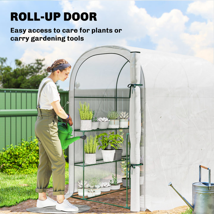 Walk-in Greenhouse with Shelves, Small Greenhouse with PE Cover and Roll-up Door, 123 x 187 x 189 cm
