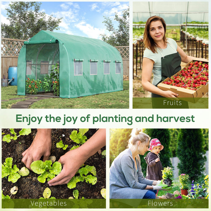 Polytunnel Greenhouse with Windows and Door, Walk in Greenhouse for Garden, Backyard (4 x 2 M)