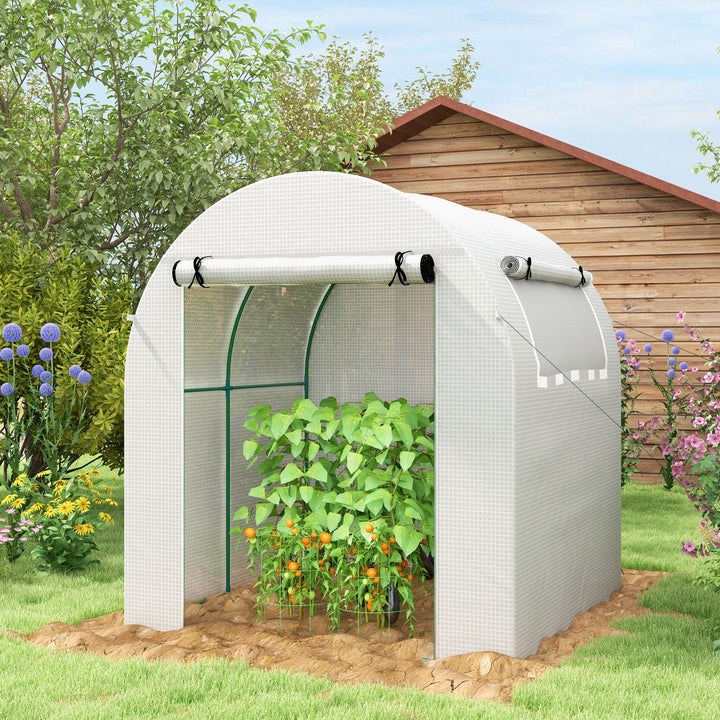 Outsunny Walk in Polytunnel Greenhouse, Green House for Garden with Roll