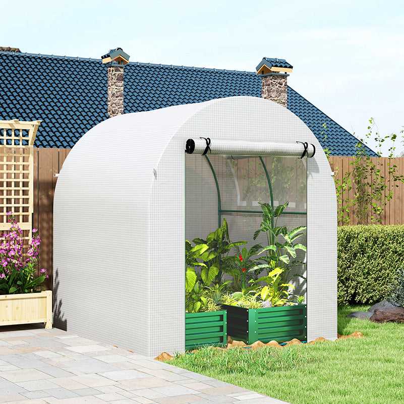 Walk in Polytunnel Greenhouse, Green House for Garden with Roll-up Window and Door, 1.8 x 1.8 x 2 m, White