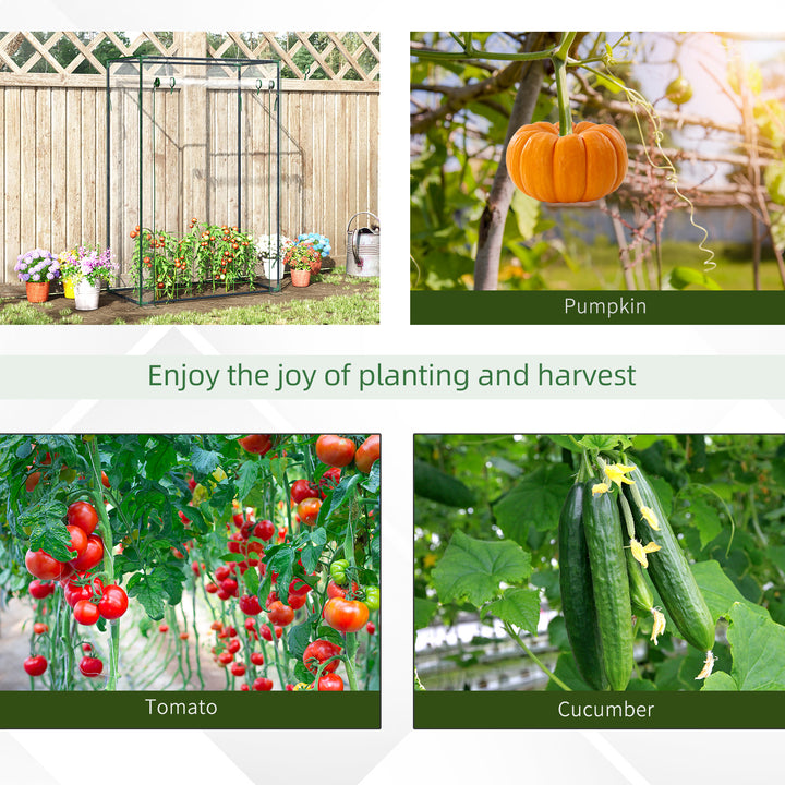 Tomato Greenhouse with Roll-up Door, Mini Greenhouse with PVC Cover, Outdoor Grow House Small Green House for Yard, Balcony, Garden, 100 x 50 x 150cm, Transparent