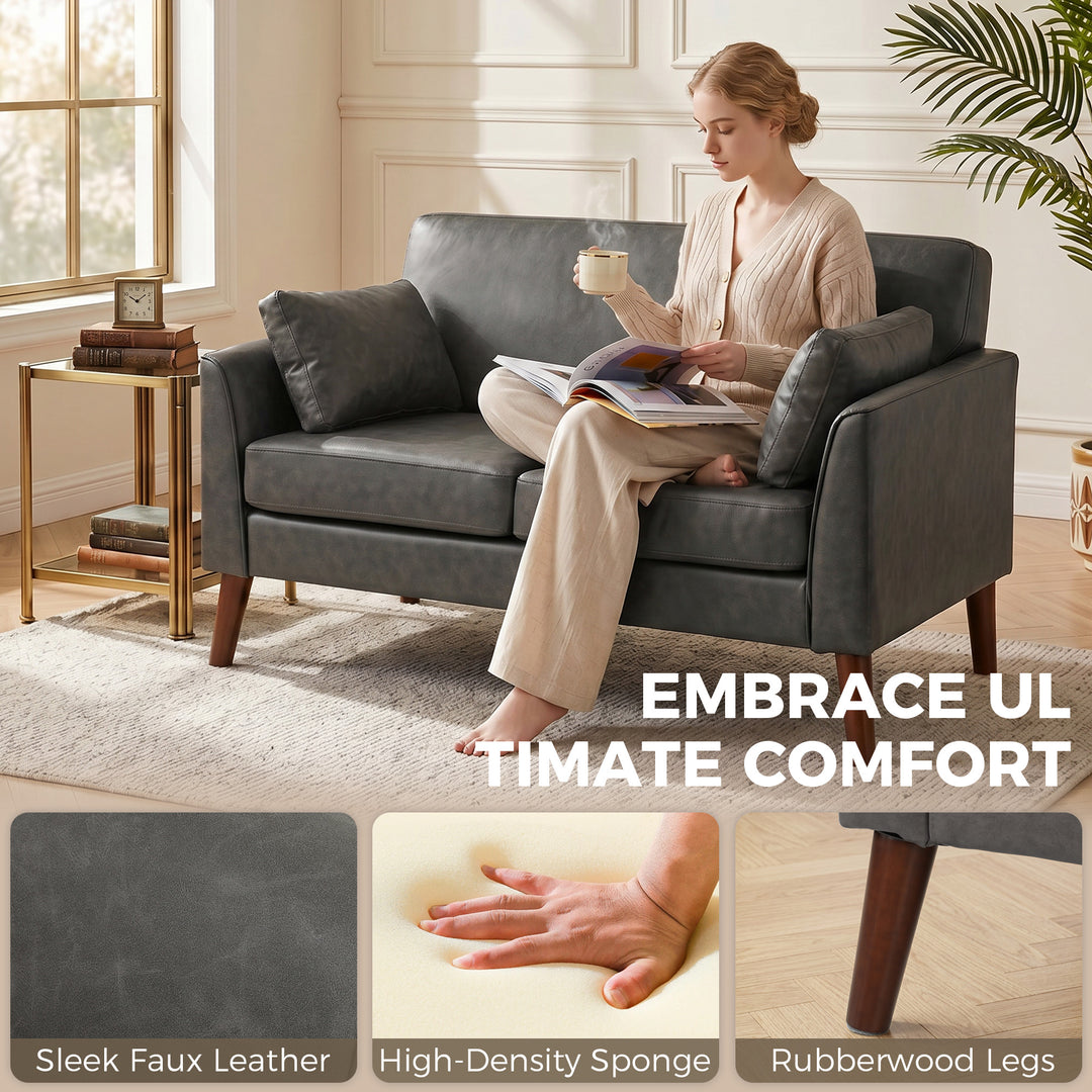 2 Seater Sofa, 132 cm Modern Small Sofa with Solid Wood Legs and 2 Pil