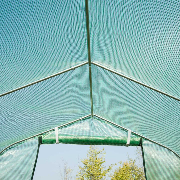 Polytunnel Greenhouse with Windows and Door, Walk in Greenhouse for Garden, Backyard (4 x 2 M)
