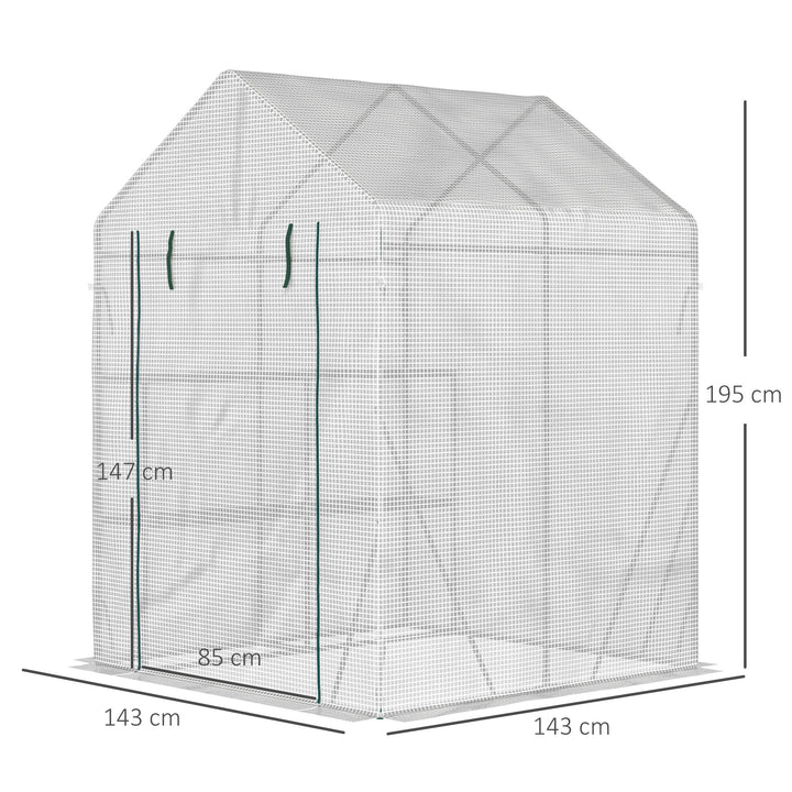 Walk In Greenhouse with 2 Tier Shelf, Portable Gardening Plant Grow House Tomato Greenhouse with Roll up Zip Panel Door, Reinforced PE Cover, 143 x 143 x 195cm, Green