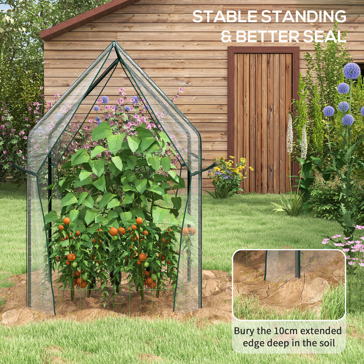 Mini Greenhouse, Garden Tomato Growhouse with 2 Zipped Doors, Portable Indoor Outdoor Green House, 90 x 90 x 145cm, Clear