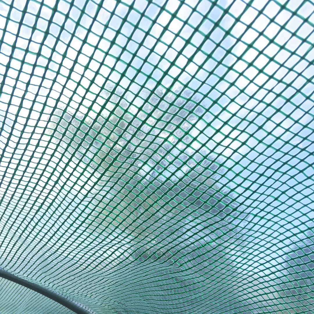MCL Large Polytunnel Walk In Greenhouse, Plant Gardening Tunnel Green House with Metal Hinged Door, Galvanised Steel Frame & Mesh Windows, Green (3 x 6 m)