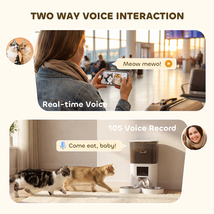 Automatic Cat Feeder for 2 Cats with HD Camera，2.4G &amp; 5G WiFi Pet Food