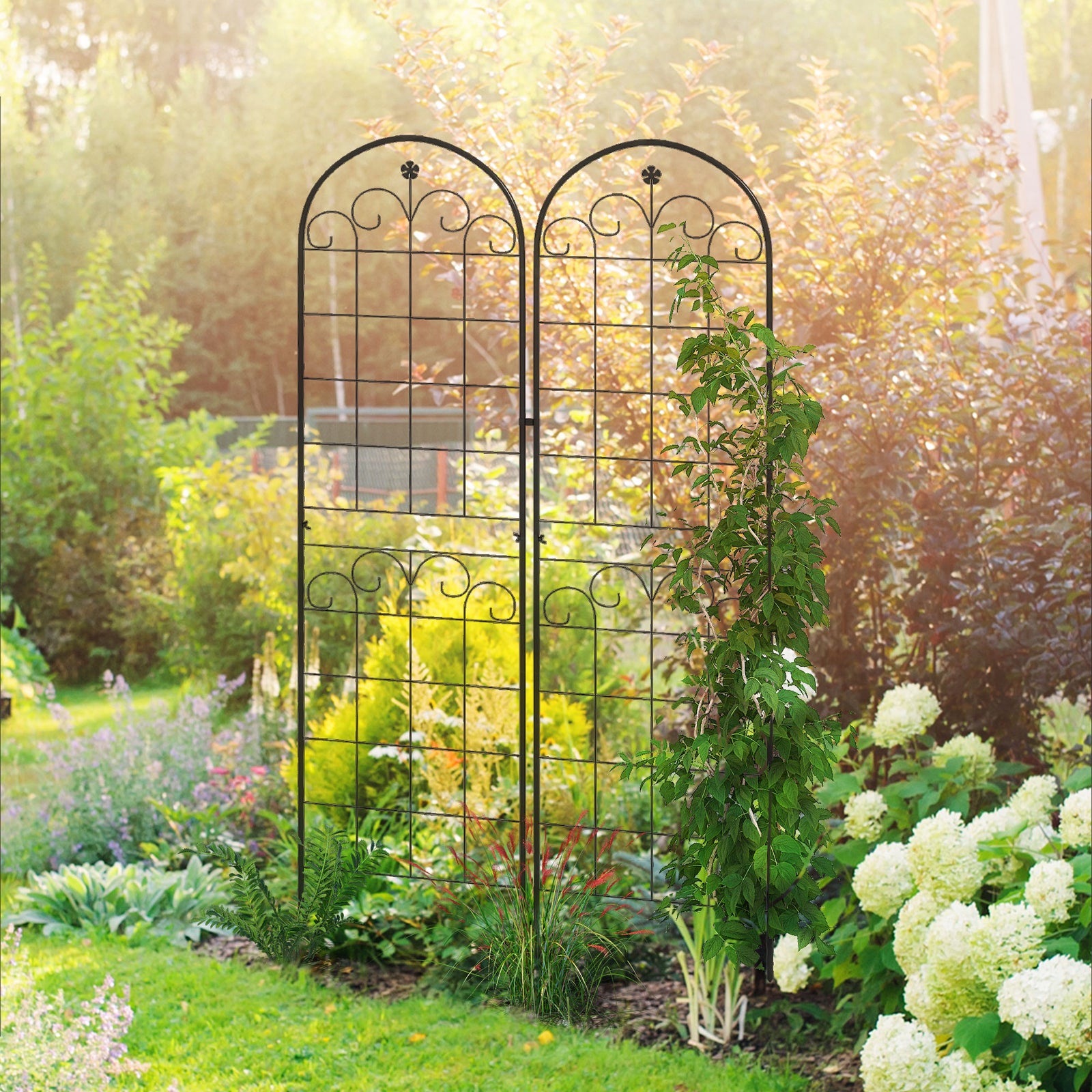 Metal Trellis Set of 2, Garden Trellis for Climbing Plants Support Frames, Floral Design