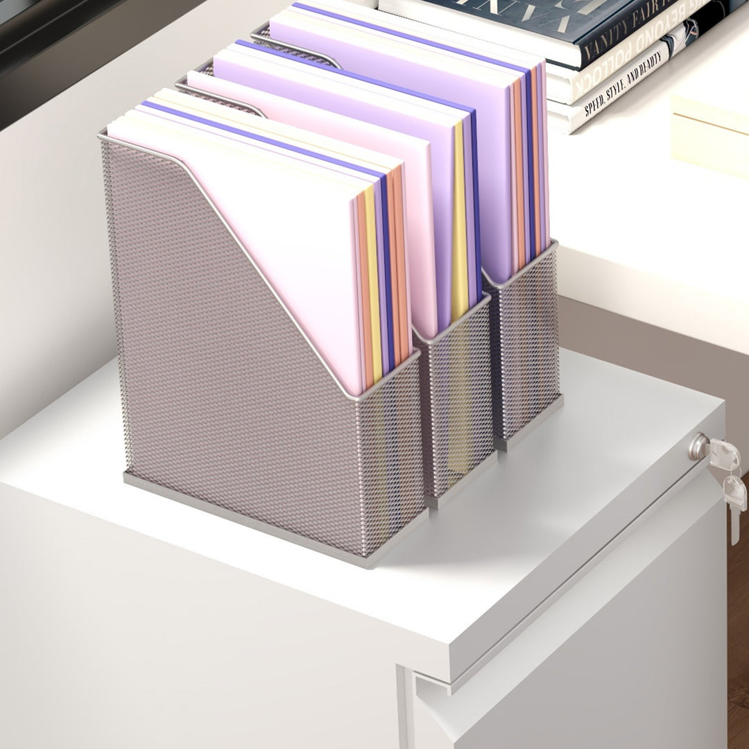 2-Drawer Mobile Filing Cabinet, Steel Lockable File Cabinet for Letter, A4 and Legal Size, Pre-Assembled Body, White